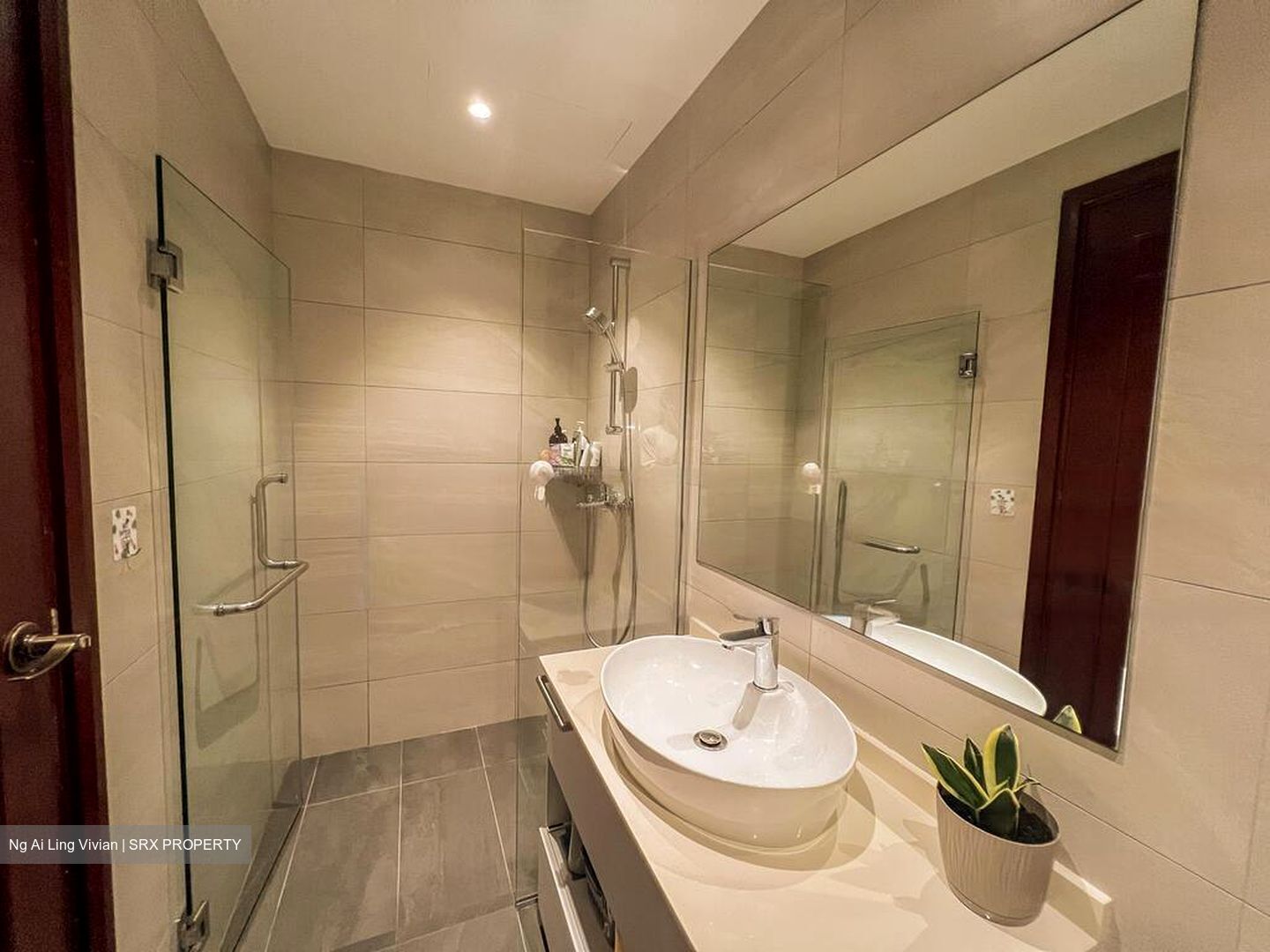 The Hillside (D21), Condominium #456148811